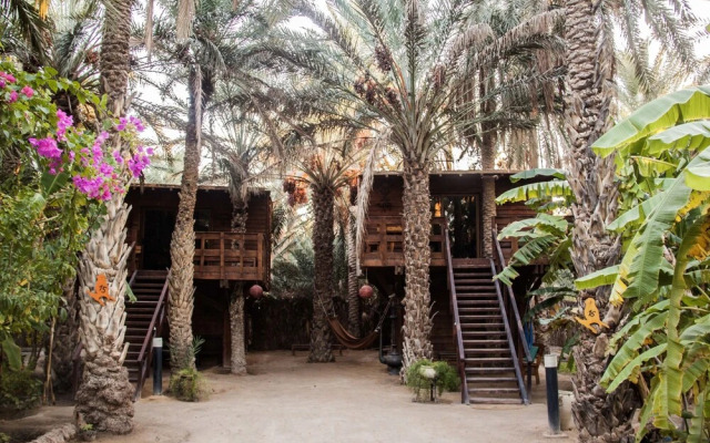 Hotel Diar Abou Habibi