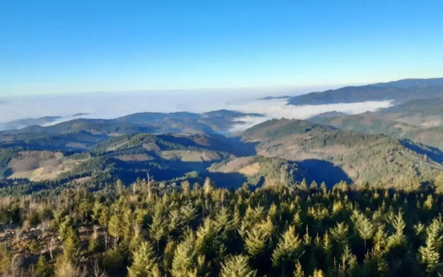 Nice Apartment in Oberkirch