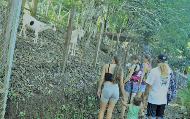 Hotel Nature Lodge Finca los Caballos