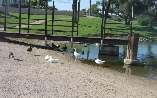 The McCormick Scottsdale