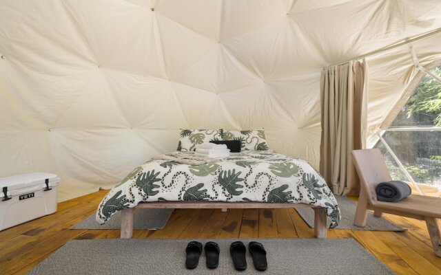 Stay Wilder - Adults Only