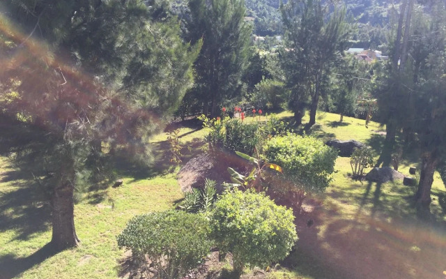 Le Platane