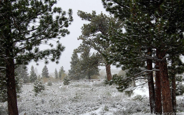 The Mammoth Creek Inn