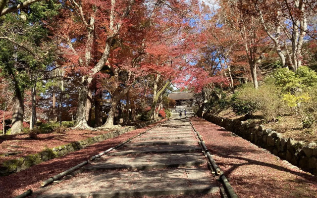 Insight Court Yamashina