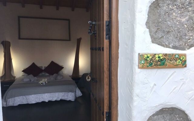 EcoTara Canary Islands Eco-Villa Retreat