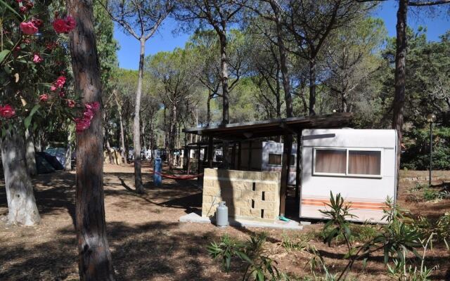 Camping Golfo dellAsinara