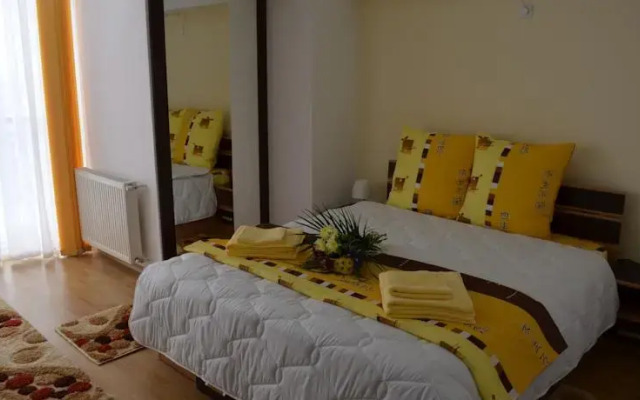 Central House Apartments Bacau