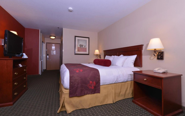 Amsterdam Teleport Hotel