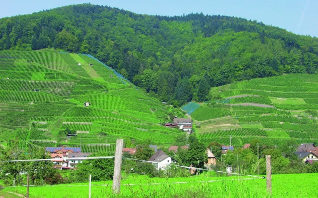 Landpension Haus Ruth