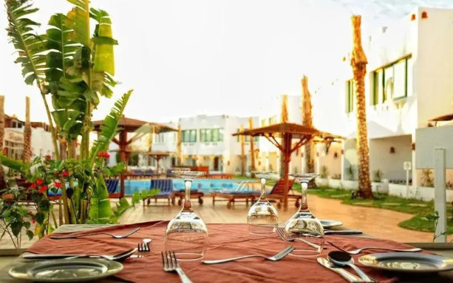 Ocean Club Hotel Sharm