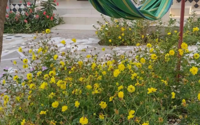 Real Owl Guest House