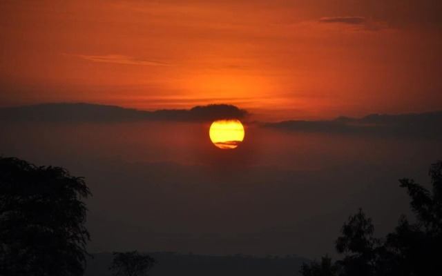 Tembo Safari Lodge