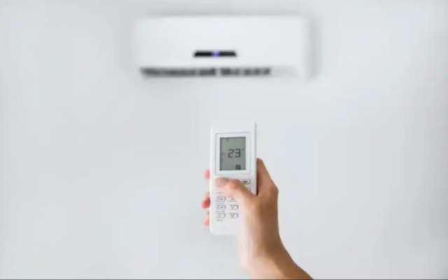 The Teddy Bear Rock House Roma IDI Gemelli yourbesthostitalycom