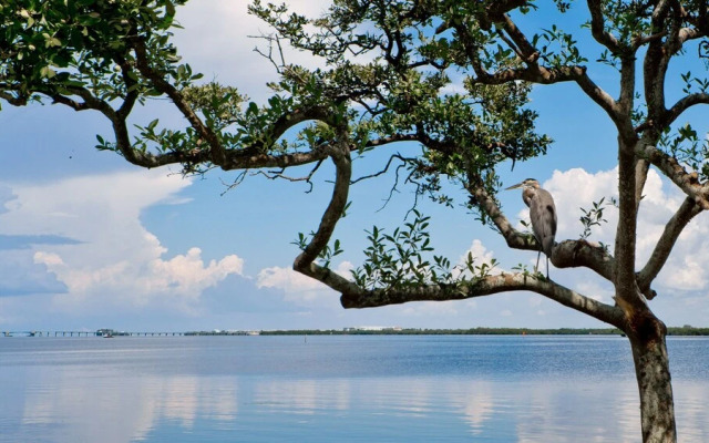 Runaway Bay Resort by BBG