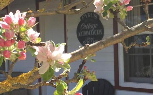 Coonawarra's Pyrus Cottage