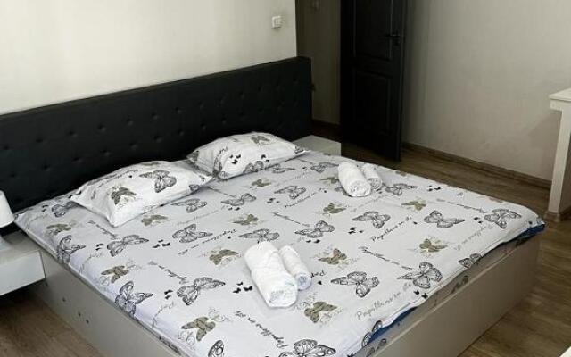 Apartament 3 Central