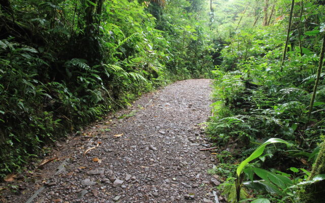 Monteverde Lodge