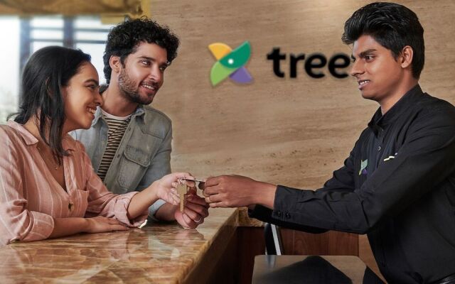 Treebo Trend Msr International