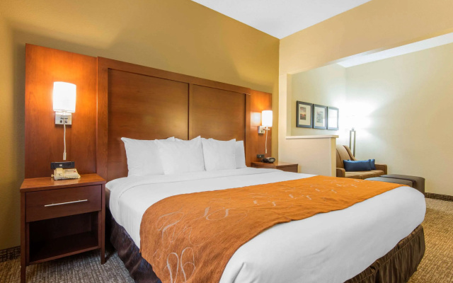 Comfort Suites Rochester Henrietta University Area