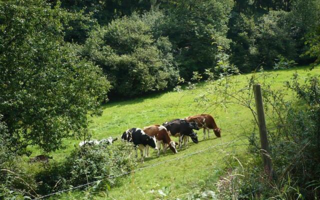 Ferienwohnungen Meindl