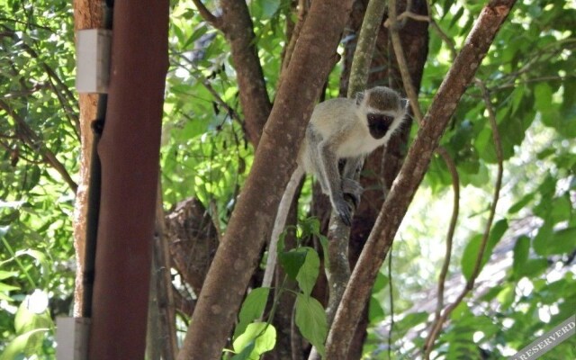 Kilifi Maghreb