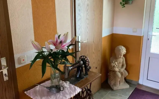 Pension Triebischtal