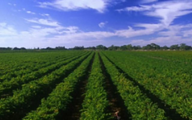 A Must At Coonawarra