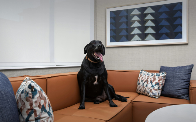 Homewood Suites By Hilton Portsmouth Downtown