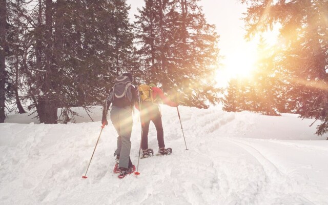 Aparthotel Golden Lodges Rauris