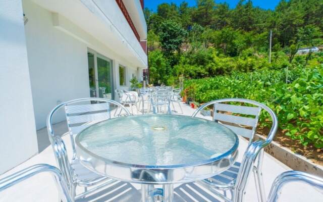 Andong Tom Sawyer's Adventure Pension