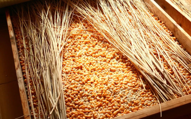 Natoriya