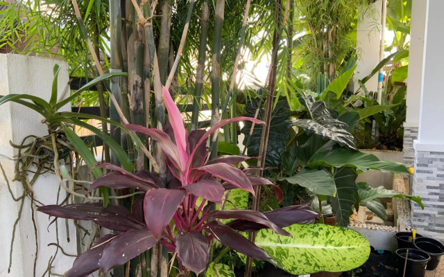 Puntakana Apartelle Deluxe Apartment Panglao