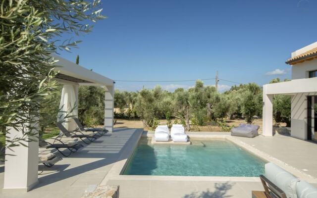 olive green villas