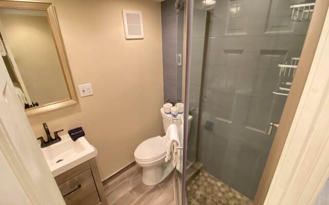 #208 Vail International