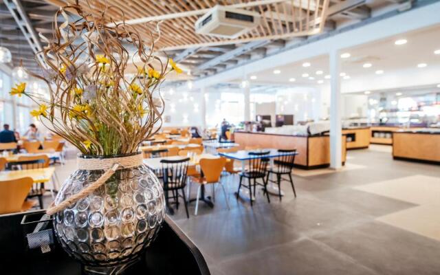 Zaton Holiday Resort Camping homes