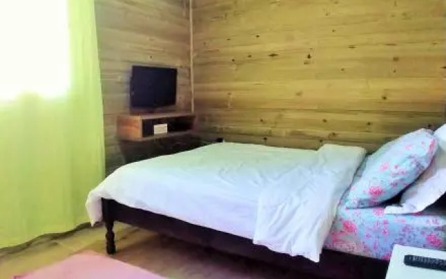 Wood Cabin into the Wild