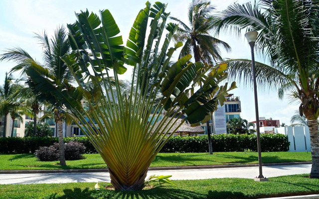 PH con Jacuzzi de Espacio Yocte en Acapulco Diamante