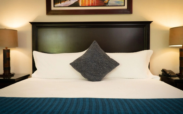 Papagayo Golden Palms Beachfront Hotel - фото 3