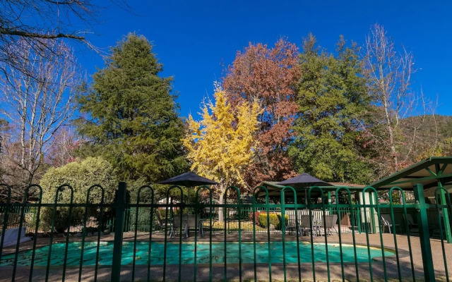 The Birch House - Silver Birches