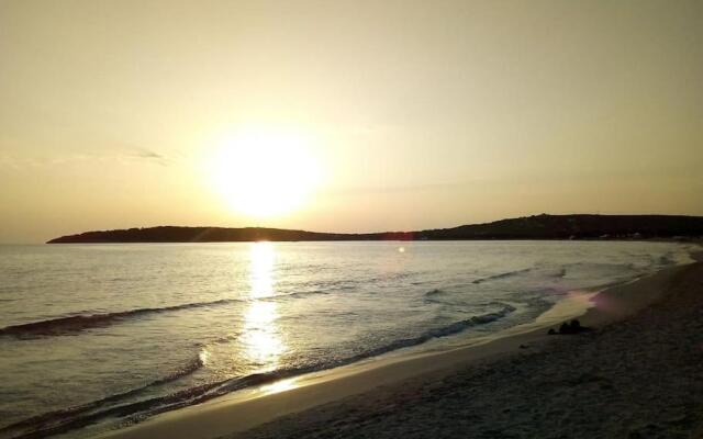 L'oasi di Angela, cod I.U.N. Q5074