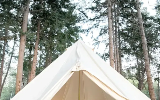 Fossil Beach Farm (Glamping)