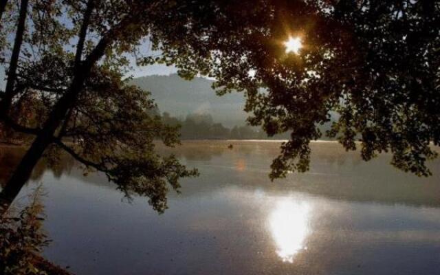 Wald und See