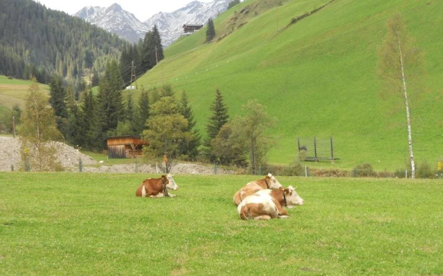 Ferienwohnungen Michaela Ortner