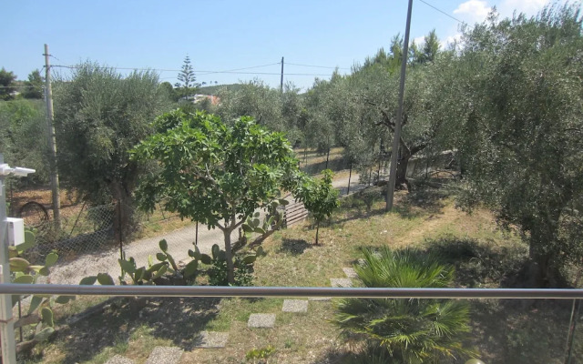 Villa Elisa