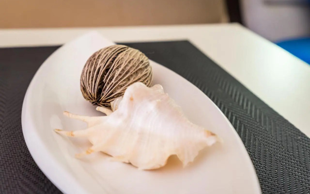 Best Downtown Apartments