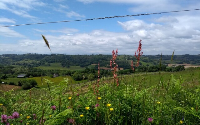 Gites de Bernet - Les Roses