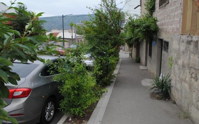 Family Guesthouse - Macharashvili