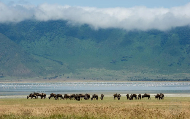 Ngorongoro Serena Safari Lodge