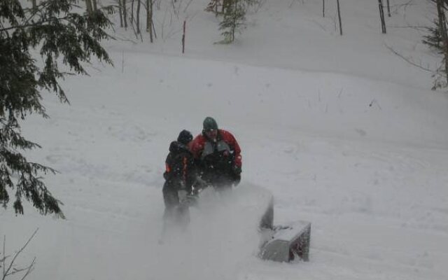 Gite Bijou dans la Forêt