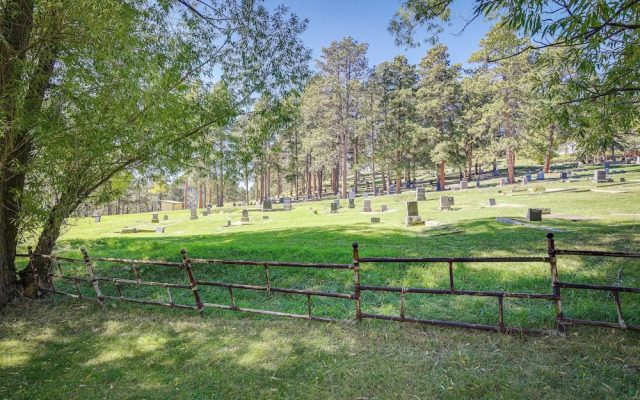 Lead Hideaway w/ Fireplace, Grill & Deck!